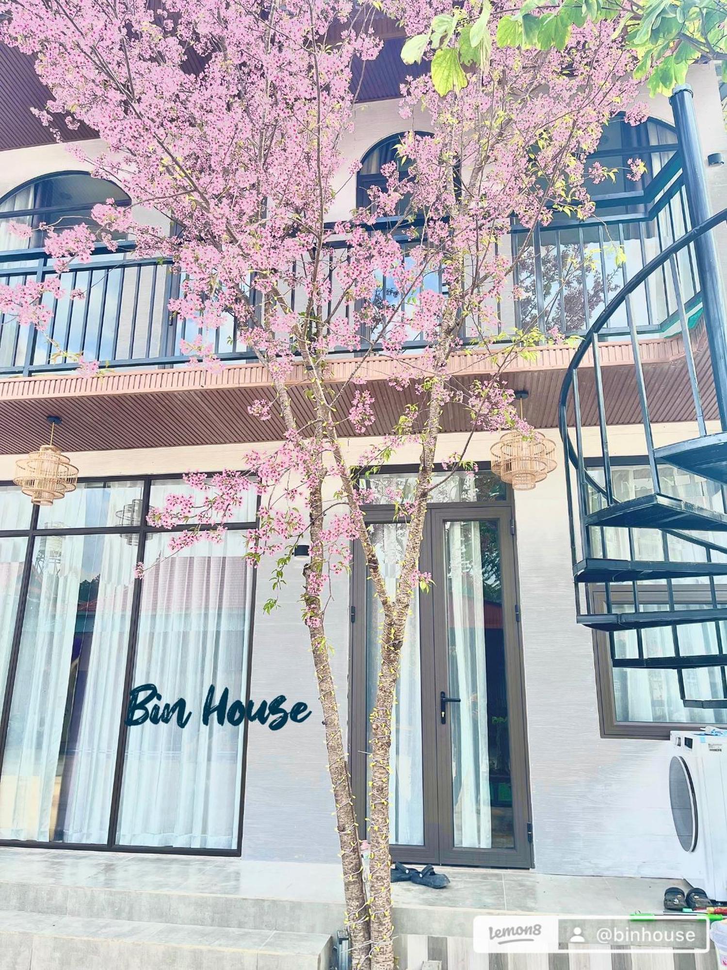 Bin House - Moc Chau Ξενοδοχείο Εξωτερικό φωτογραφία